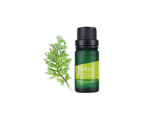 Pure plants extract aromatherapy massage essential oil