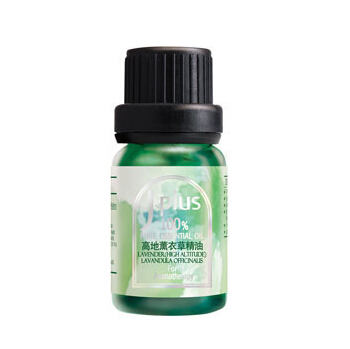 Ginger essential oil